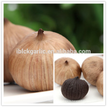 Fermented chinese solo black garlic benefit for health 500g/bag hot for sale in 2014